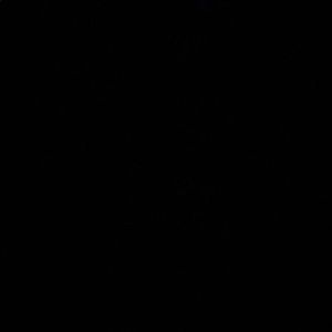 Meet your Posher, Joey